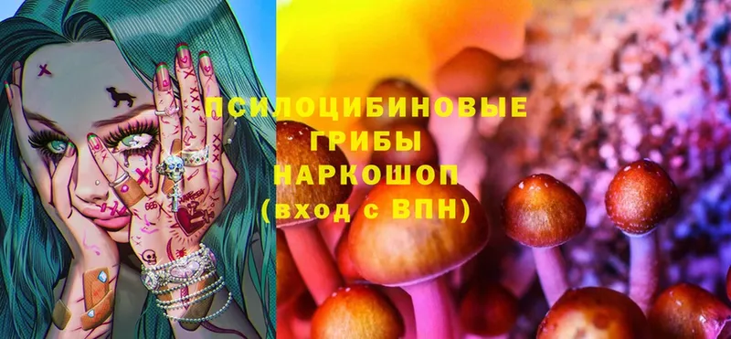 цены наркотик  Абдулино  Галлюциногенные грибы MAGIC MUSHROOMS 